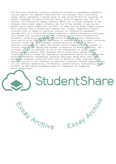 Information Systems and Strategy Management of ASIC Company