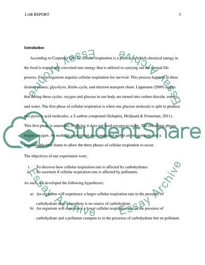 Effects of Persistent and Bioactive Organic Pollutants on Human Health