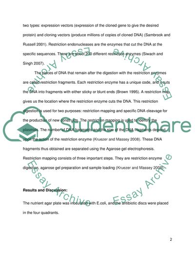 The Extrachromosomal DNA