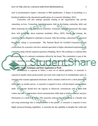 Day in the Life of a Human Services Professional