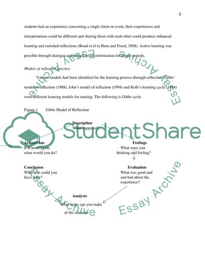 The Nursing Practice Processes