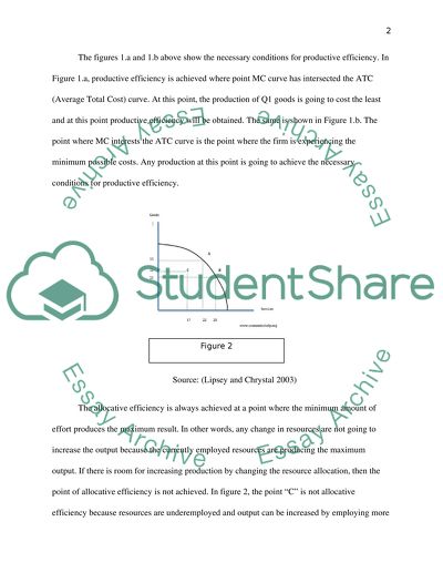 Economic Efficiency Issues