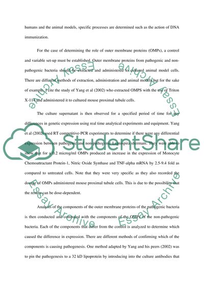 Difference in Expression of the Transfected Cell