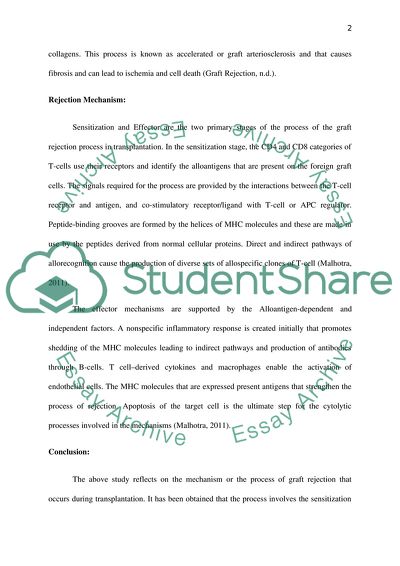 Describe the process of graft rejection in transplantation