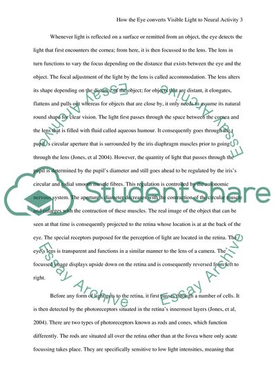 How the Eye Converts Visible Light to Neural Activity