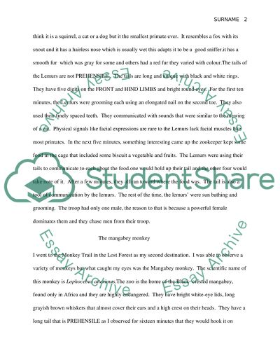 Unique Ape Behaviors and Appearances