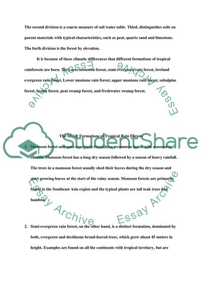 The Types of Rain Forests