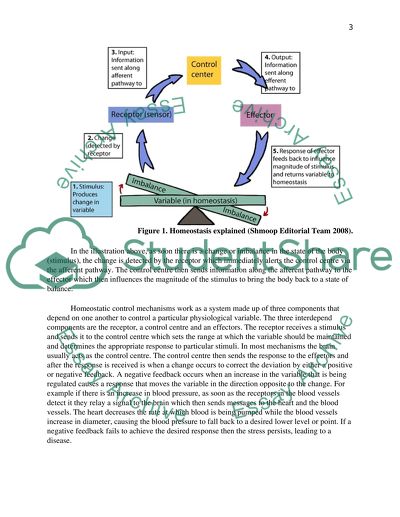 Homeostatic Mechanisms and Malfunctions Leading to Disorders