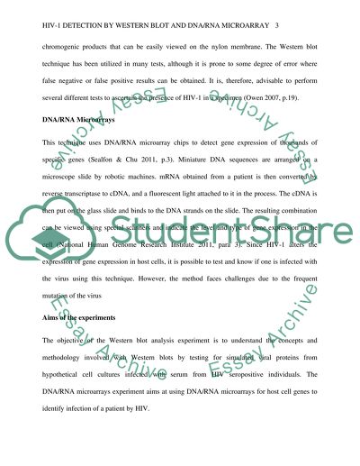 HIV-1 detection by western blot and DNA/RNA microarray