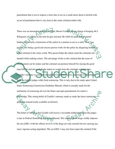 Federal Sentencing Guidelines