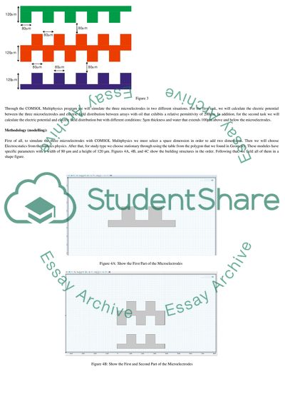 Electric Field Simulation