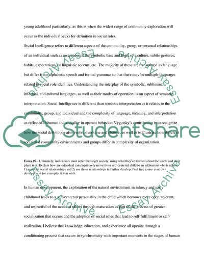 Piagets Cognitive Development Theory