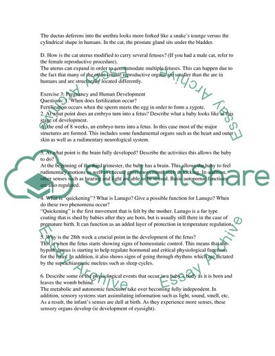Functions of the Reproductive System
