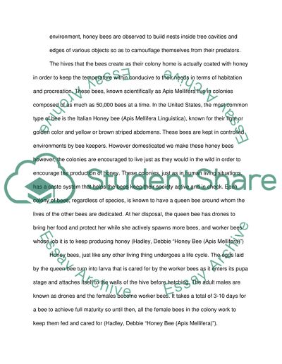 Essay on bees image