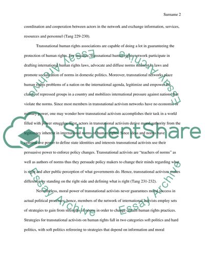 Theory of Transnational Activism Issues