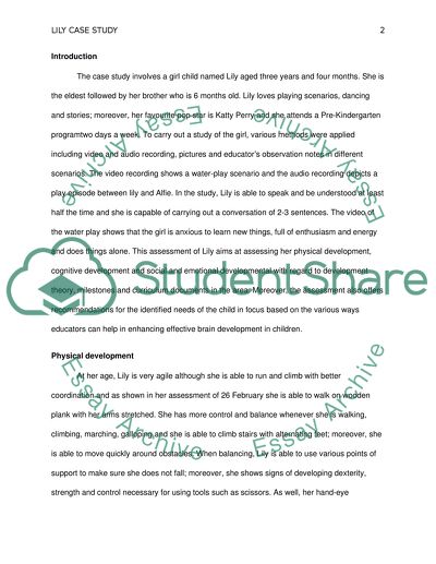 Interpretation and analysis of a childs development