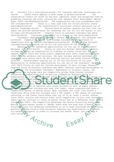 MARKETING PLAN REPORT