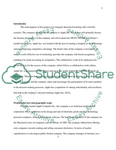 The Business Perspective of the Apple Company