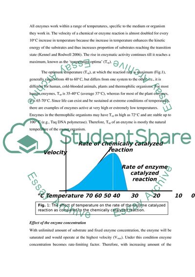 The Effect of Increasing Concentration of Enzyme