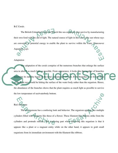 Organisms from the Treasures of BC Coast