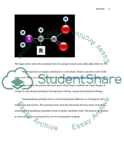 The Roles of Amino Acid R-groups in the Structures and Functions of Transmembrane Ion Channels