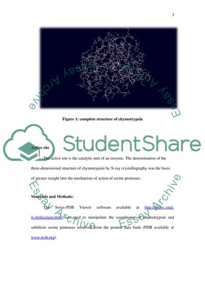 Computational Biology The Serine Protease Active Site