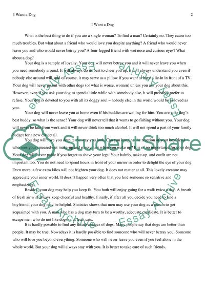 A Four-Legged Friend with a Wet Nose and Curious Eyes as the Best Friend