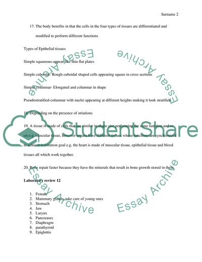 Not a paper, lab assignments