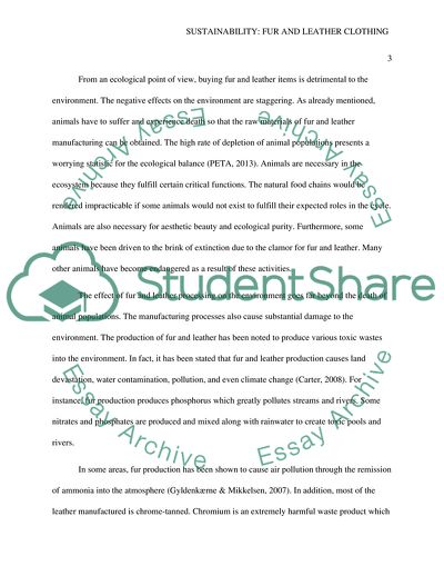 Sustainability: Fur and Leather Clothing