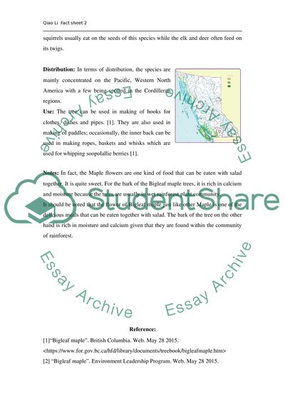 Fact Sheet on Bigleaf Maple