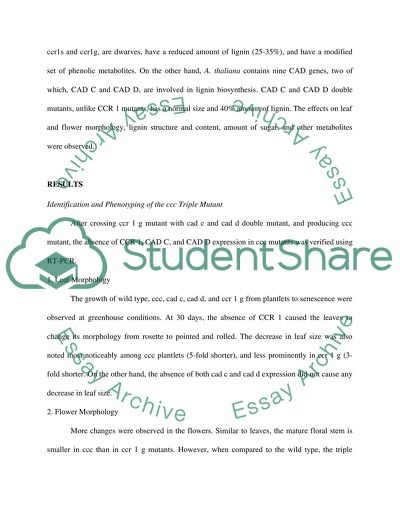 The Simultaneous Repression of CCR and CAD
