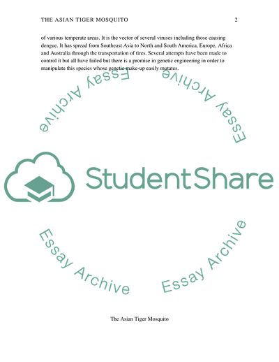 The Asian Tiger Mosquito