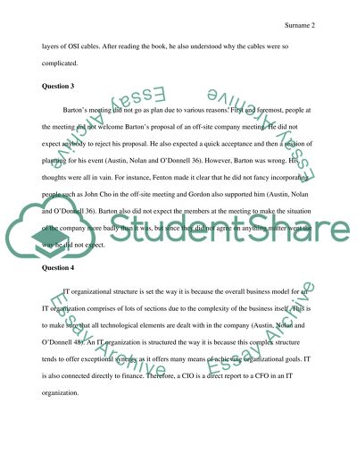 Information Technologies: Differences from Other Management Systems