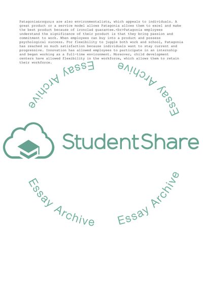 Patagonias Core Values