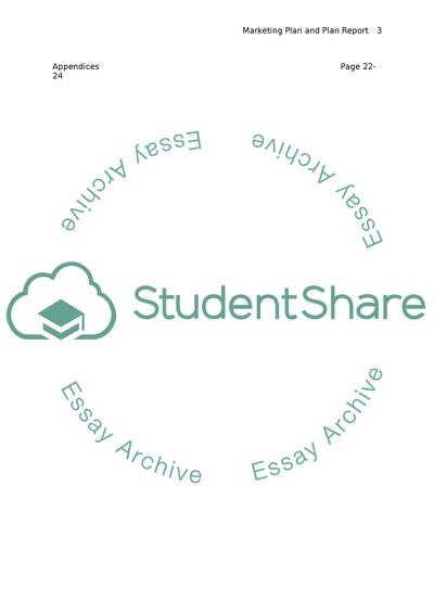 Marketing Plan and Plan Report for the New Master Program