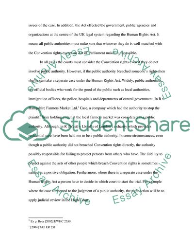 Courts to Help the Human Rights Act 1998 Achieve its Objectives