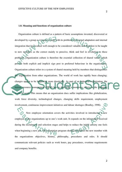 Effective Culture of the New Employees