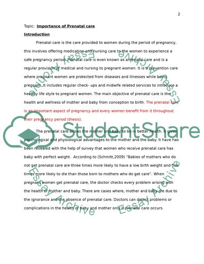 prenatal care nursing essay