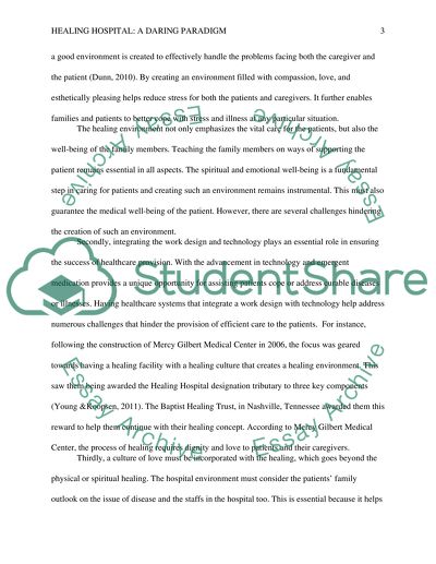 Healing Hospital: A Daring Paradigm