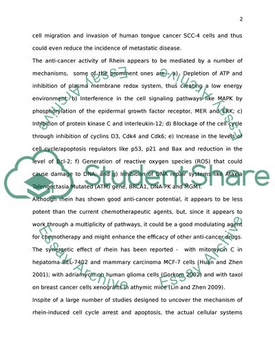 The Anti-Cancer Activity of Rhein in Leukemia