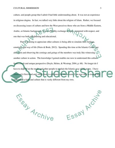 Cultural Immersion Activity