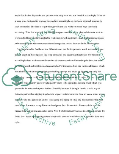 Levis - Brand and Its Audience