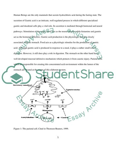 The mechanism by which gastric acid is secreted and how this secretion is neutralised in the small intestine