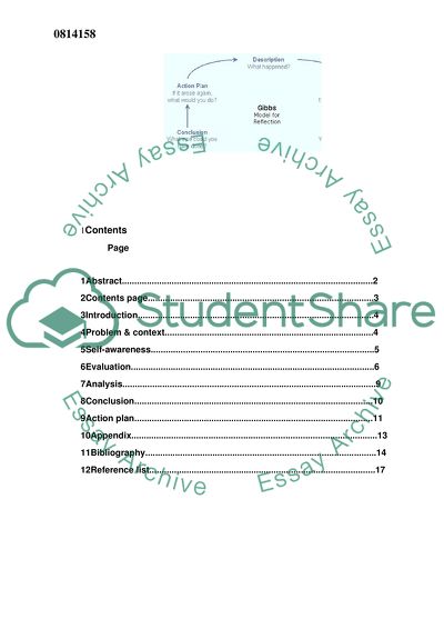 Seeing Organizational Transformation in Practice