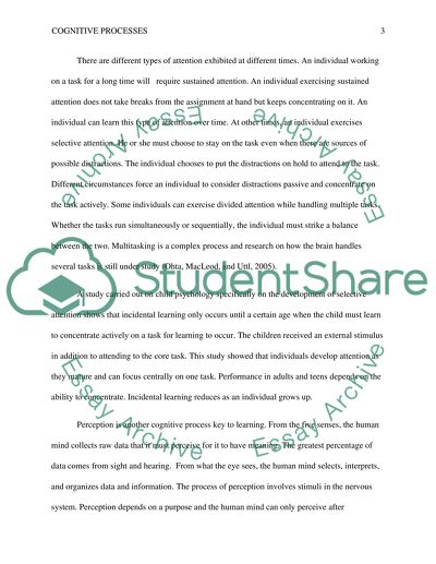 Cognitive Processes Paper