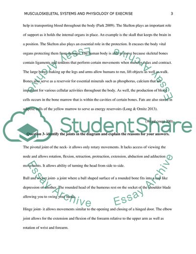 Musculoskeletal Systems and Physiology of Exercise