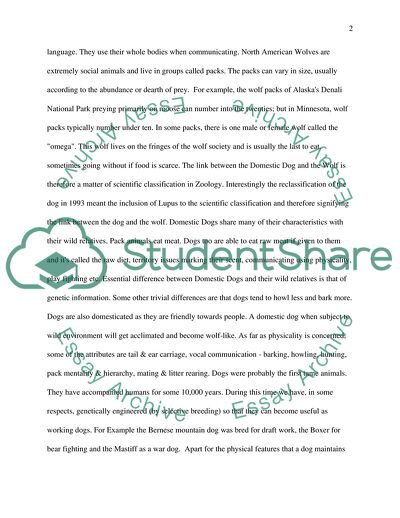 What Characteristics Does a Domestic Dog Share with Its Wild Relatives