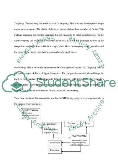 essay about international marketing