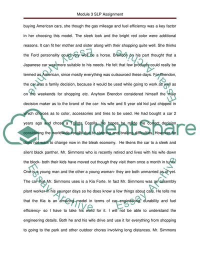 Processes in Consumer Decision Making, Balancing the Should and Want Factors