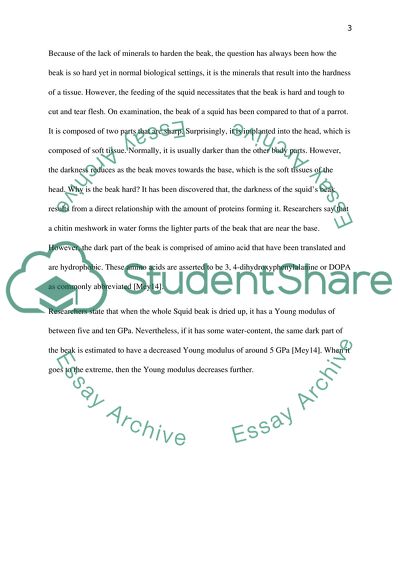 Material in Squid Beak and Abrasion Resistance